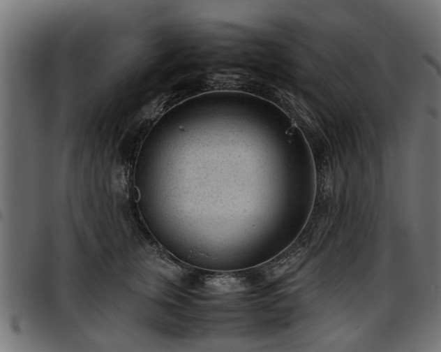 X0000096730759200802121314