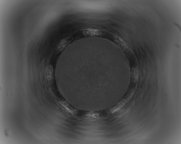 X0000096730760200802121314