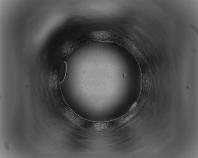 X0000096730762200802121314