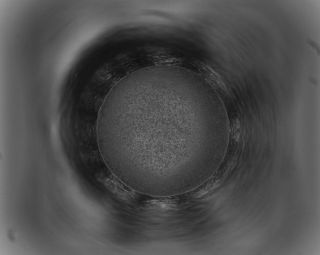 X0000096730763200802121314