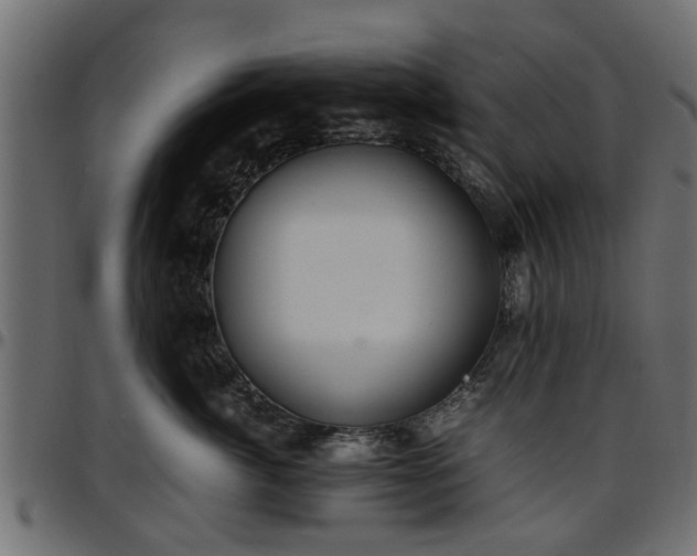 X0000096730764200802121315