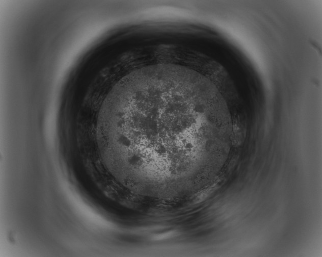 X0000096730765200802121315