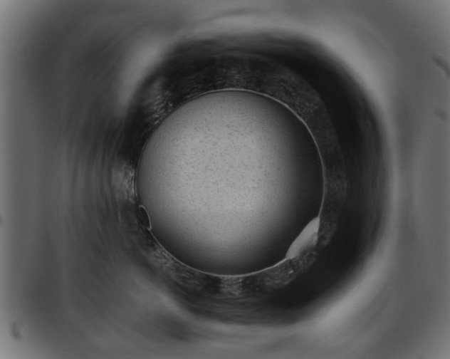 X0000096730766200802121315