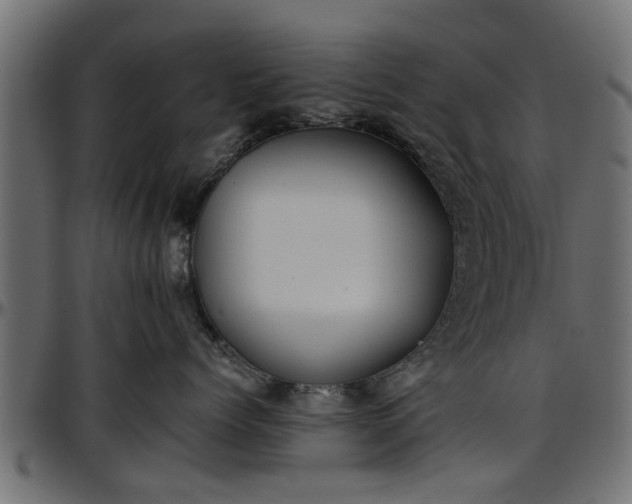 X0000096730768200802121315