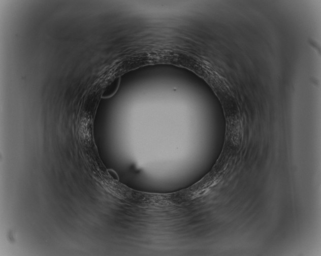 X0000096730770200802121314
