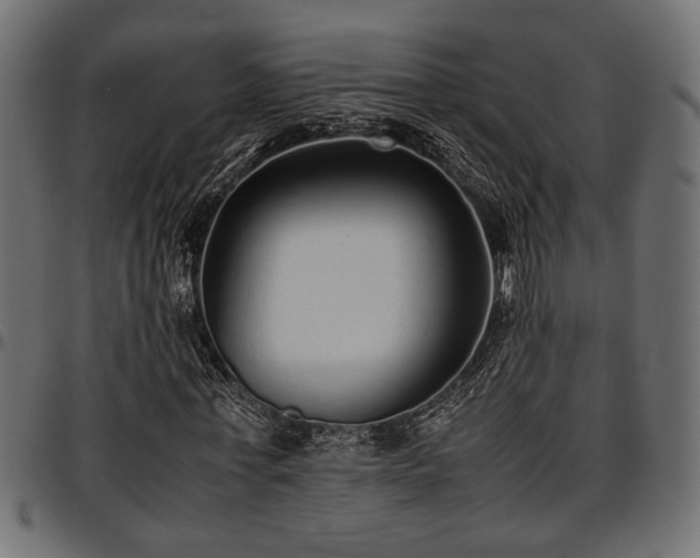 X0000096730771200802121314