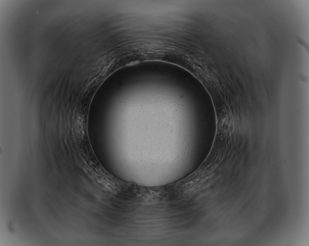 X0000096730772200802121314