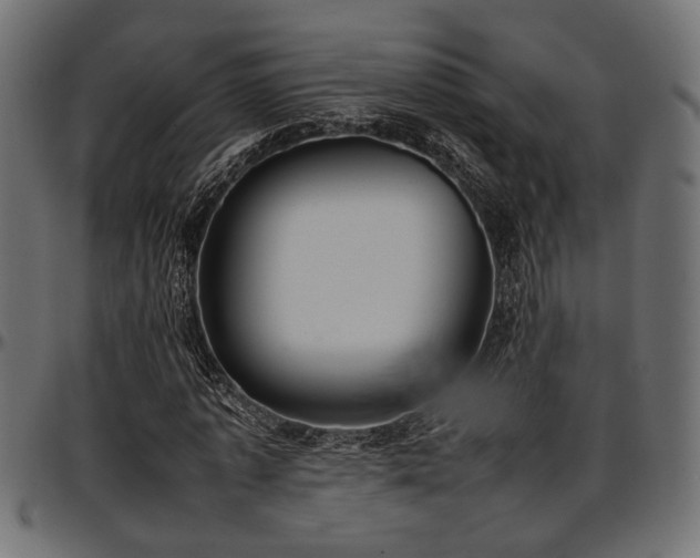 X0000096730773200802121314