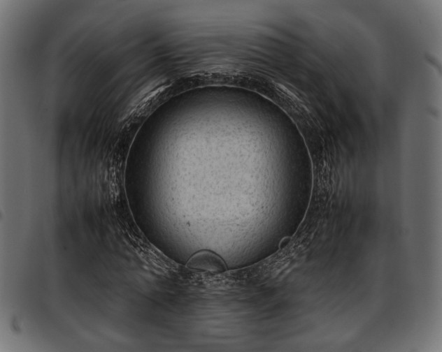 X0000096730774200802121314