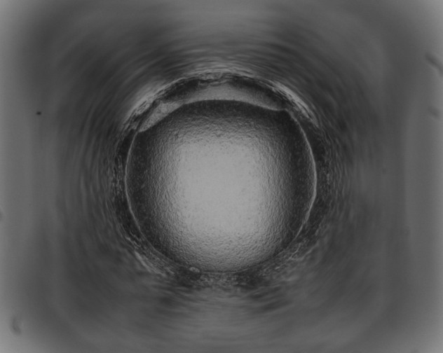 X0000096730775200802121314
