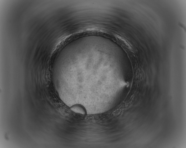 X0000096730776200802121314