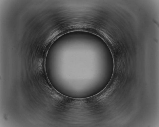 X0000096730778200802121314