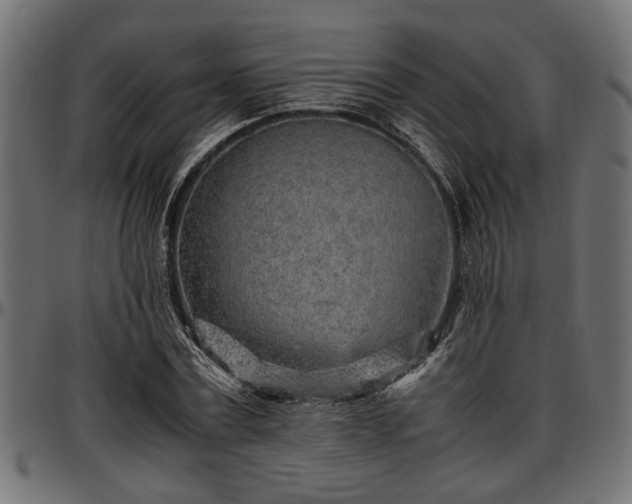 X0000096730779200802121314