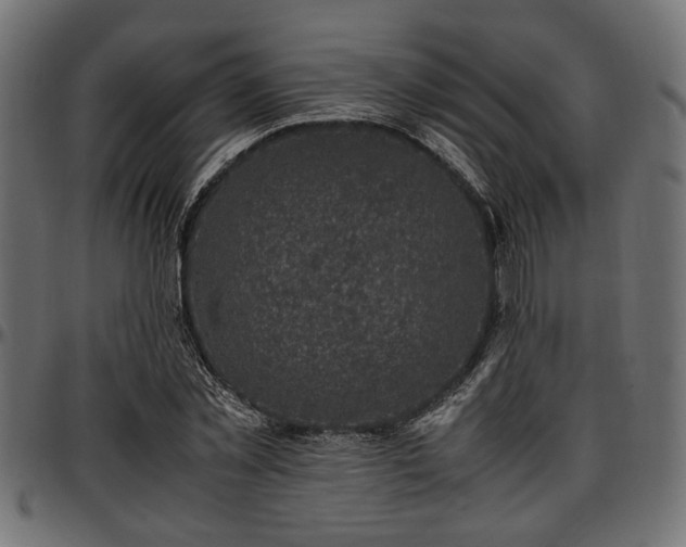 X0000096730781200802121314