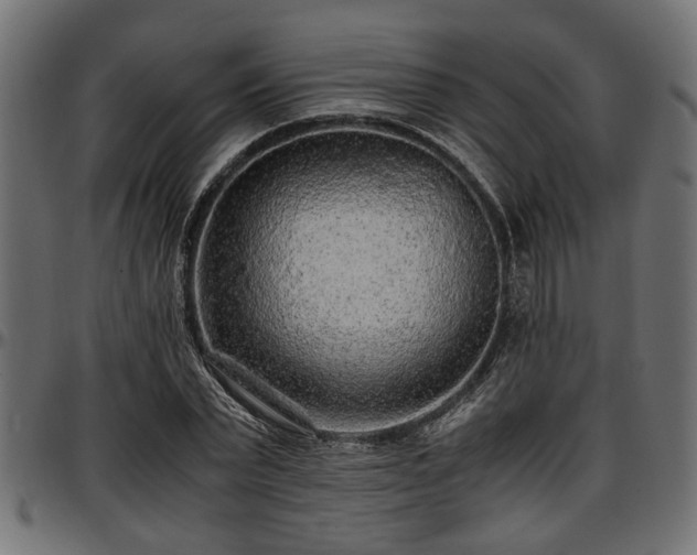 X0000096730783200802121314