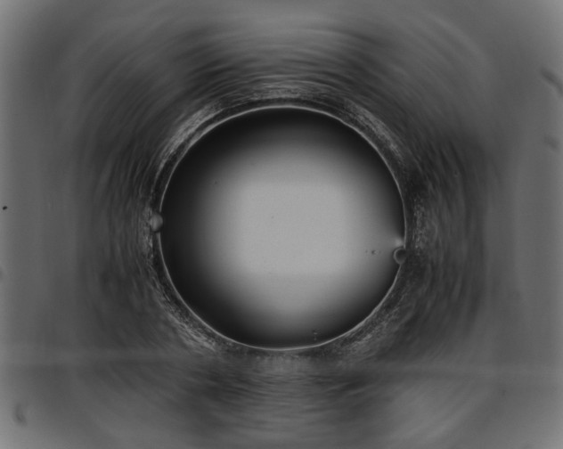 X0000096730786200802121314
