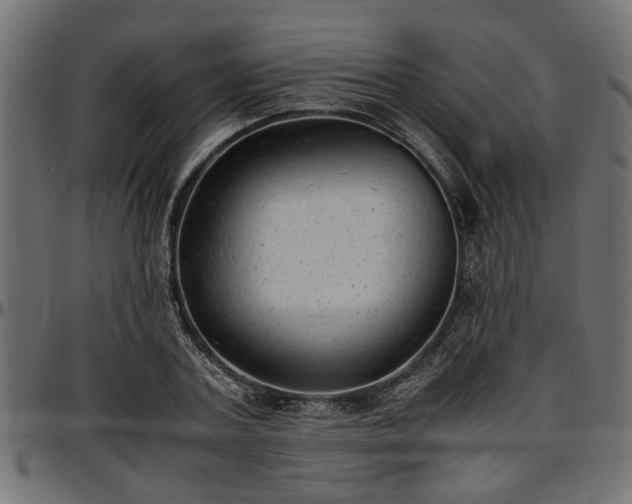 X0000096730787200802121314
