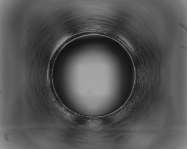 X0000096730788200802121314