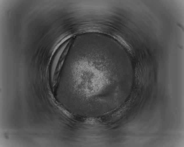 X0000096730790200802121314