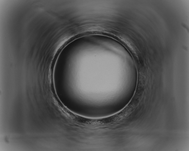 X0000096730791200802121314
