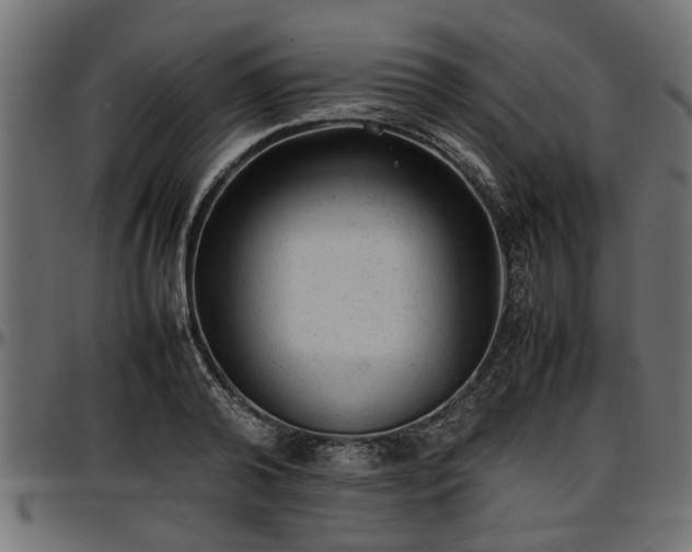 X0000096730792200802121314