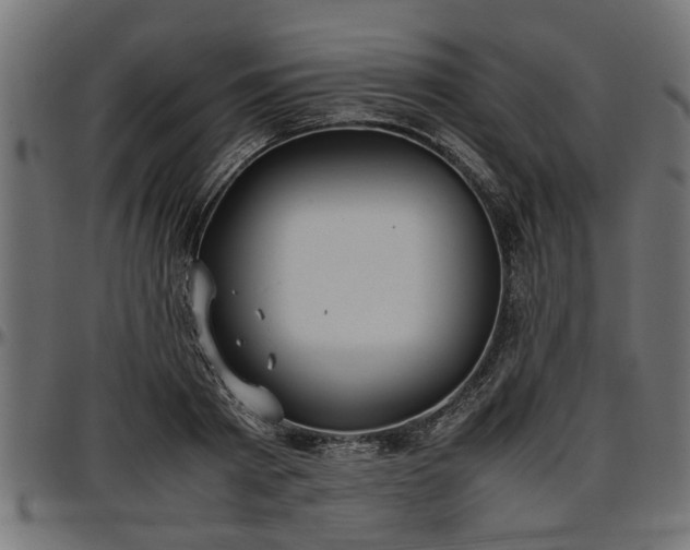 X0000096730793200802121314