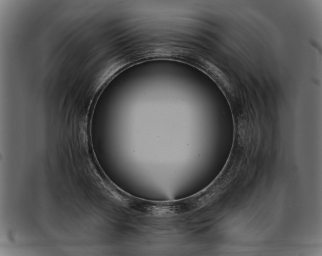 X0000096730794200802121314