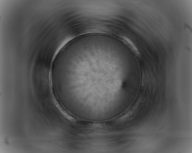 X0000096730796200802121314