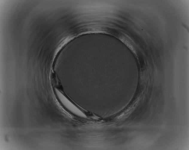 X0000096730797200802121314