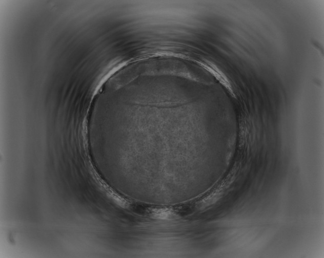 X0000096730798200802121314