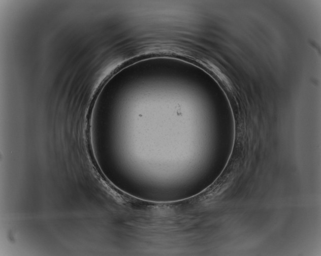 X0000096730799200802121314