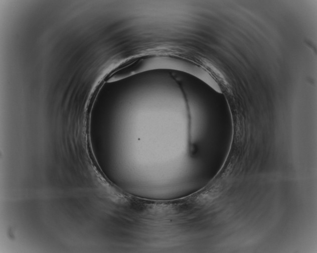 X0000096730800200802121313