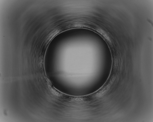 X0000096730801200802121313