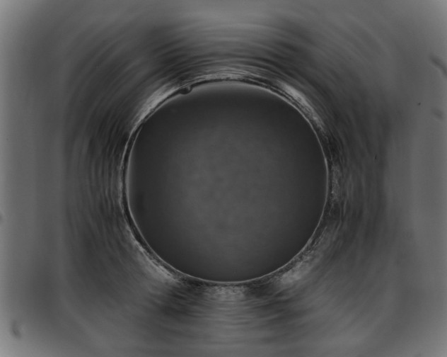 X0000096730802200802121313