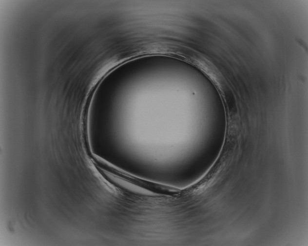 X0000096730803200802121313