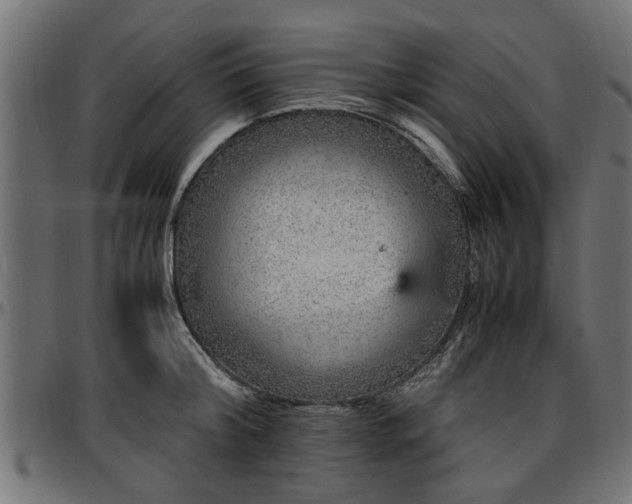 X0000096730804200802121313