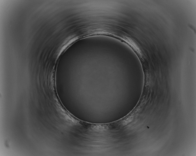 X0000096730806200802121313