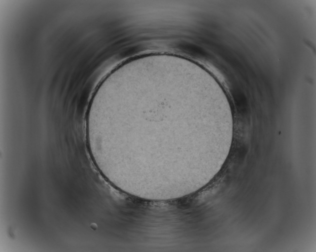 X0000096730807200802121313