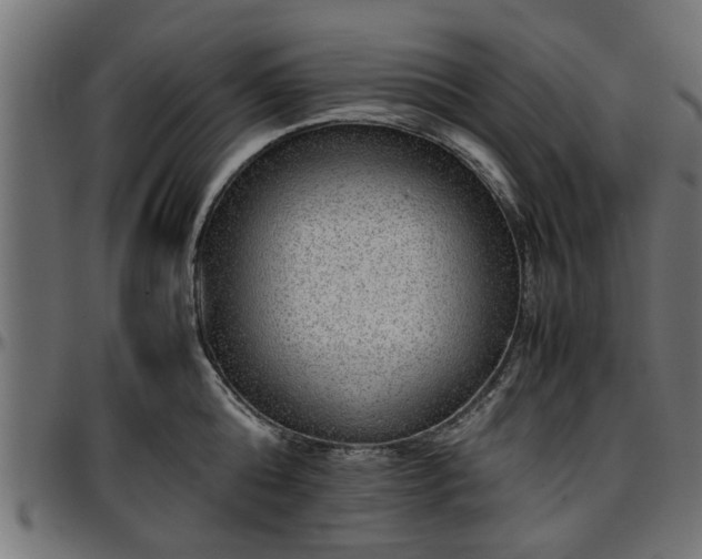 X0000096730808200802121313