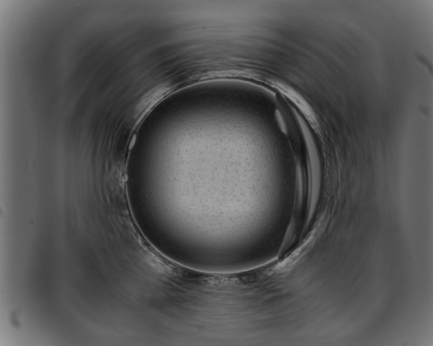 X0000096730809200802121313
