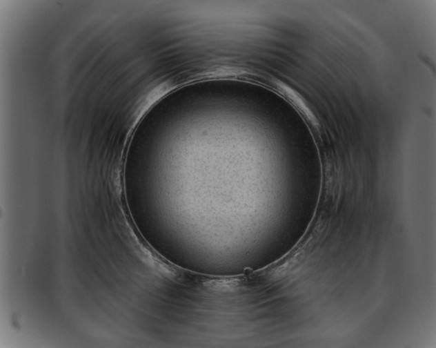 X0000096730810200802121313