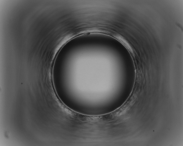 X0000096730813200802121313