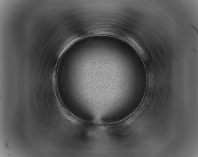 X0000096730814200802121313