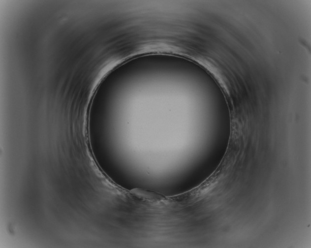 X0000096730815200802121313