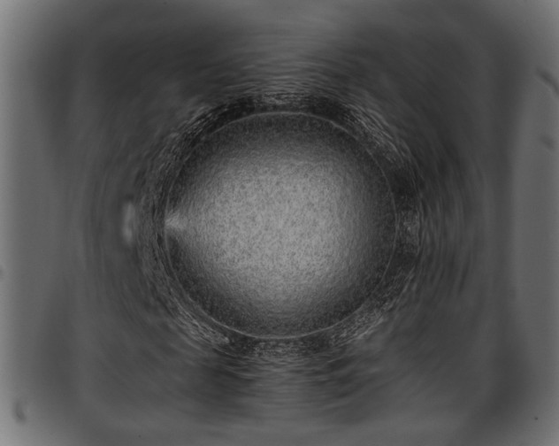 X0000096730817200802121312