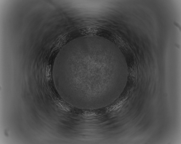 X0000096730818200802121312