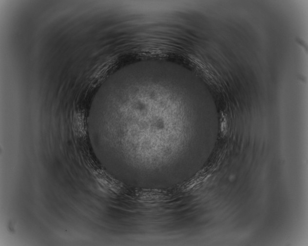 X0000096730819200802121312