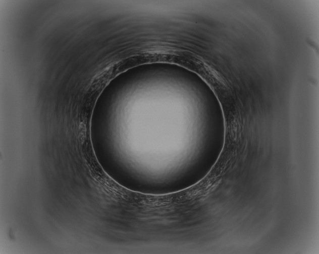 X0000096730821200802121312