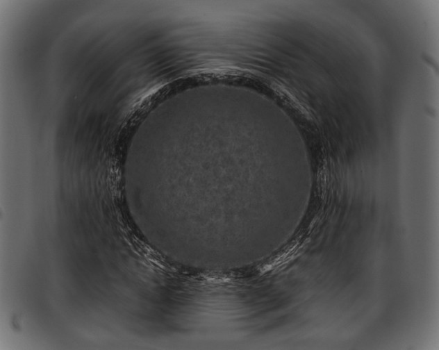 X0000096730822200802121312