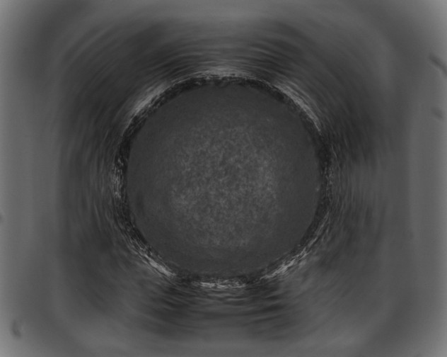 X0000096730823200802121312
